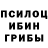 Галлюциногенные грибы Psilocybe Artem Lox